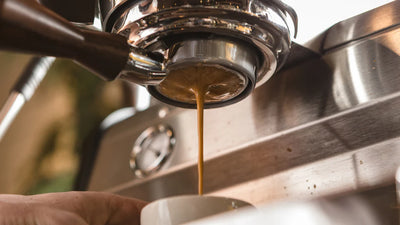 Portafilter - Breville Express